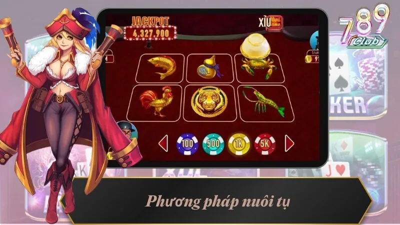 Kinh Nghiệm Chơi Bầu Cua Bất Bại Từ Cao Thủ Lão Luyện 3 Phương pháp nuôi tụ theo kinh nghiệm chơi bầu cua